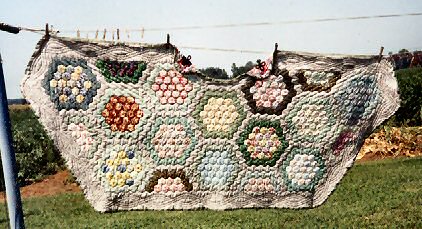 [Picture of Ann's first place lap quilt - 2003]
